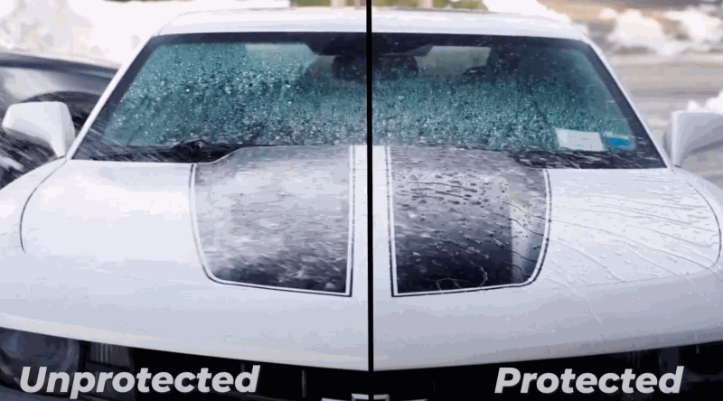 A front view of a white muscle car during a water test, showing a clear comparison between an unprotected surface on the left and a paint-protected surface on the right, where water beads and slides off easily.