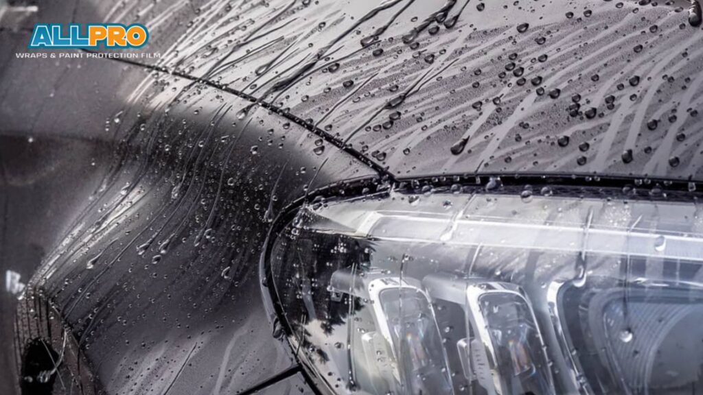 A close-up of a car's headlight and hood covered in water beads after rain, highlighting the glossy, water-repellent surface protected by paint protection film.